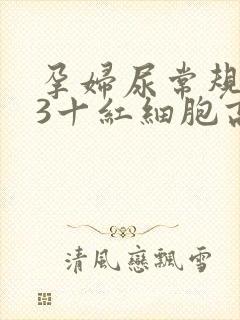 孕妇尿常规隐血3十红细胞高