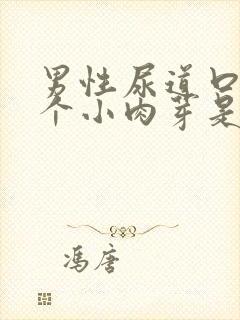 男性尿道口长了个小肉芽是怎么回事