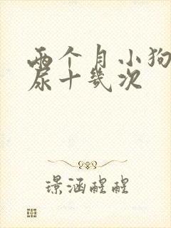 两个月小狗一天尿十几次