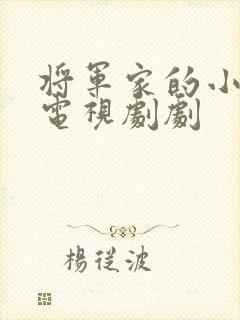 将军家的小娘子电视剧剧