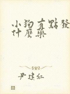 小狗有点发烧吃什么药