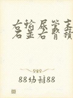 右输尿管末端结石并右肾积水