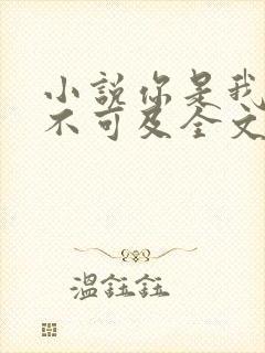 小说你是我的遥不可及全文免费阅读