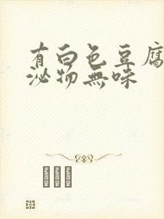 有白色豆腐渣分泌物无味