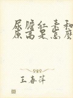 尿胆红素和尿胆原高是怎么回事