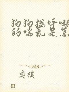 狗狗总呼哧呼哧的喘气是怎么回事