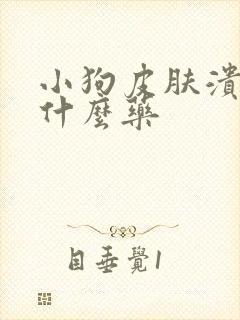 小狗皮肤溃烂用什么药