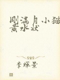 刚满月小猫拉稀黄水状