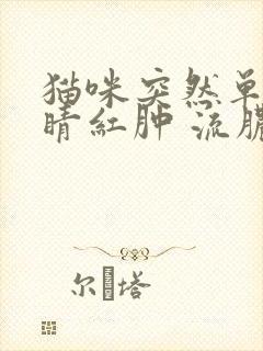 猫咪突然单只眼睛红肿 流脓眼屎