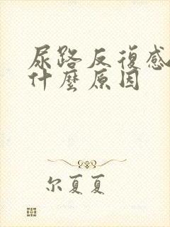 尿路反复感染是什么原因