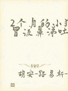 2个月的小狗感冒流鼻涕吐咋办