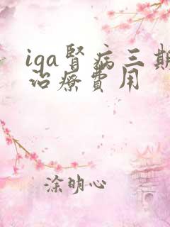 iga肾病三期治疗费用