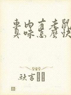 车内有老鼠尿味臭味怎么快速去除