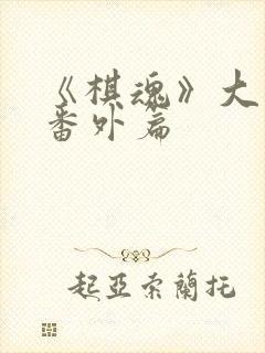 《棋魂》大结局番外篇