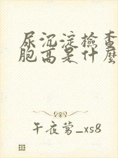 尿沉淀检查白细胞高是什么原因