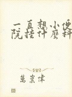 一直想小便去医院挂什么科