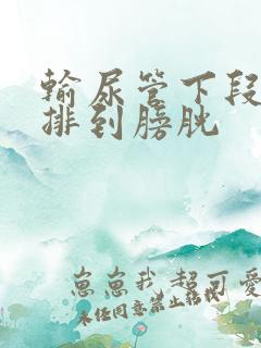 输尿管下段结石排到膀胱