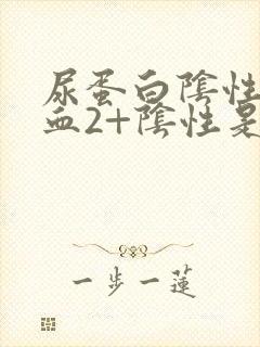 尿蛋白阴性尿潜血2+阴性是怎么回事