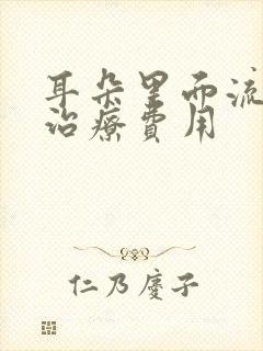 耳朵里面流脓水治疗费用