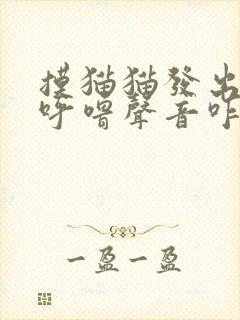 摸猫猫发出呼噜呼噜声音咋回事