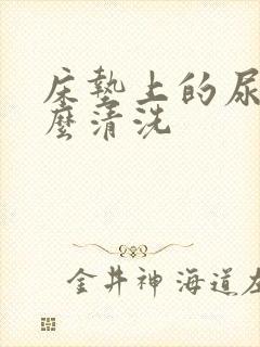 床垫上的尿渍怎么清洗