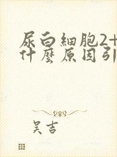 尿白细胞2+是什么原因引起的