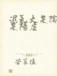 湿气大是阴虚还是阳虚