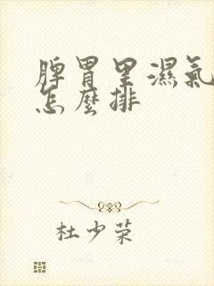 脾胃里湿气太重怎么排