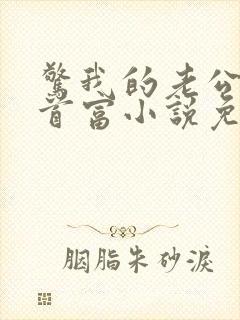 惊我的老公竟是首富小说免费阅读