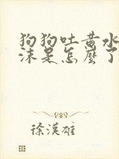 狗狗吐黄水带泡沫是怎么了