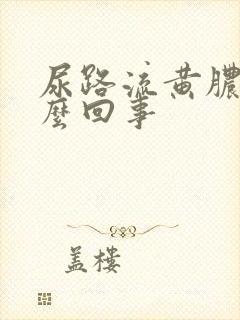 尿路流黄脓是怎么回事