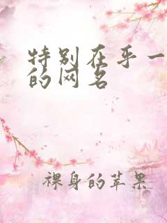 特别在乎一个人的网名