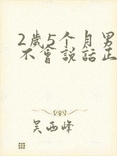 2岁5个月男孩不会说话正常吗?