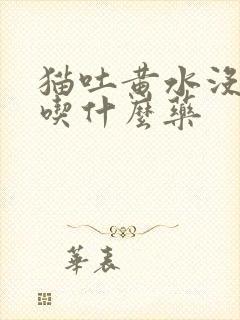 猫吐黄水没食欲吃什么药