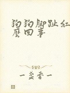 狗狗脚趾红肿怎么回事