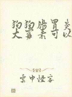 狗狗肠胃炎打庆大霉素可以吗