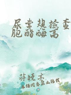 尿常规检查白细胞酯酶高