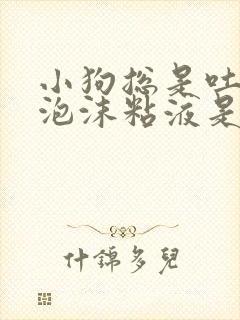 小狗总是吐白色泡沫粘液是怎么回事