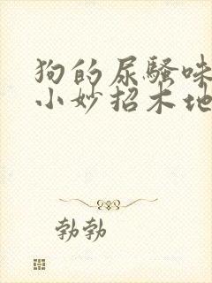 狗的尿骚味去除小妙招木地板