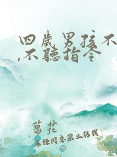 四岁男孩不说话,不听指令