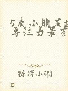 5岁小朋友提高专注力最有效的方法