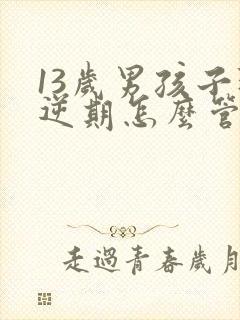 13岁男孩子叛逆期怎么管教最合适