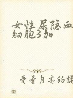 女性尿隐血2白细胞3加