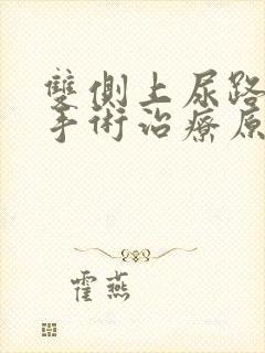 双侧上尿路结石手术治疗原则