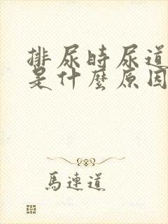 排尿时尿道刺痛是什么原因