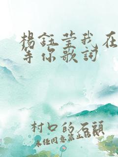 杨钰莹我在春天等你歌词