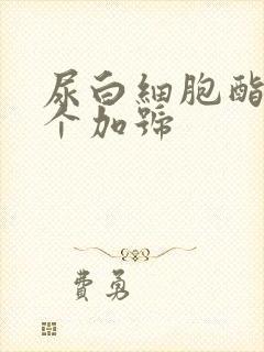 尿白细胞酯酶一个加号