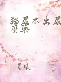 猫尿不出尿吃什么药