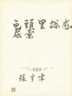 龟头里总感觉有尿意