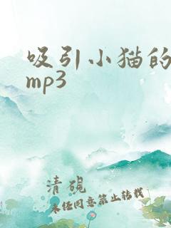 吸引小猫的声音mp3